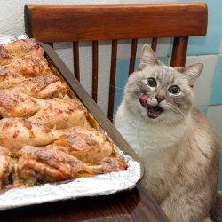 kaible:  s-purple:  Current mood.    russian food cat is one