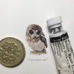 garabating:  Lorraine Loots Extraordinary miniature paintings by Lorraine Loots | Tumblr | Instagram (via illustratosphere) 