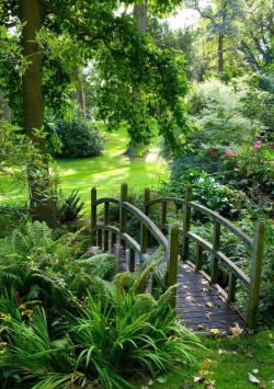 Beautiful Natural Scenery
