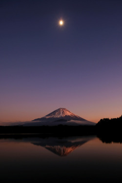 satakentia:  MoonlightMt.Fuji from Lake Syoji, Yamanashi, Japanby peaceful-jp-scenery