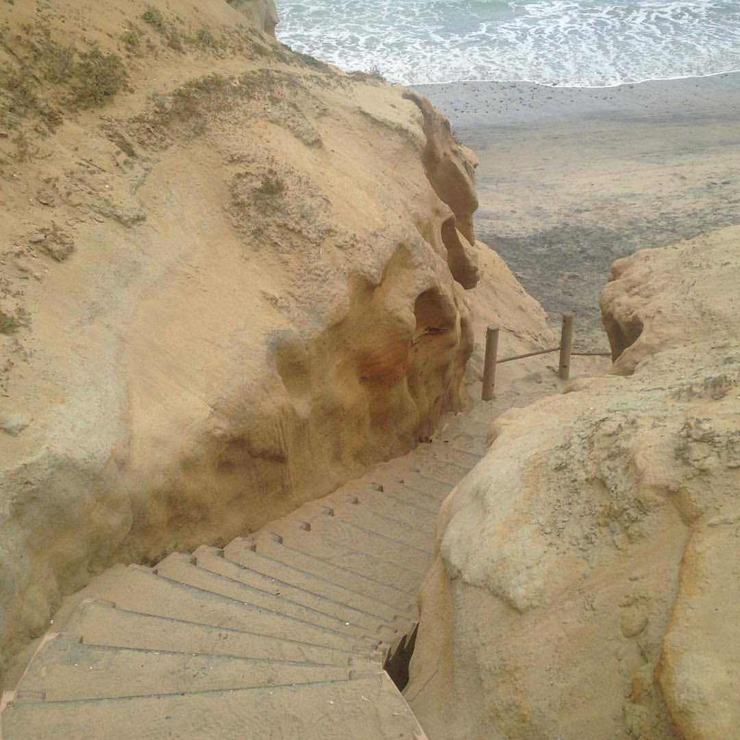 <p>at Torrey Pines Hiking Trails</p>