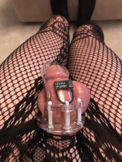 skinny-mistress: This particular useless sissy is looking for