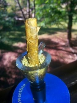 stoner-vogue:  Cute lil time bomb i packed. I named her Raggedy