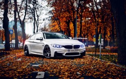 stancenation:  Sexy BMW M4 on TE37’s.. // http://wp.me/pQOO9-kkF