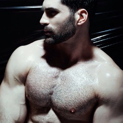 Follow Master Brandon  View the archive