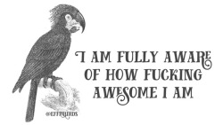 effinbirds:  I AM FULLY AWARE OF HOW FUCKING AWESOME I AM