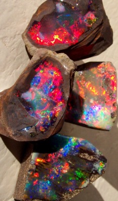 digitalexrth:    Boulder Opal from three different opal mining