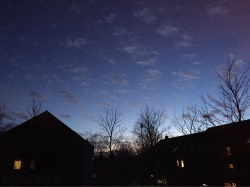 ewigersommer:  The sky grew darker, painted blue on blue, one