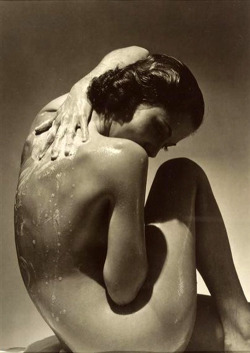 birdarchive:Edward Steichen /Nude study, 1935