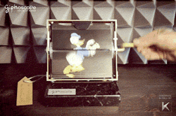  Giphoscope n° 31 | Donald Duck The ‘Donald Duck’