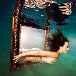 angelsofthesea2015:#Repost @underwater.photo  @angels.of.the.sea