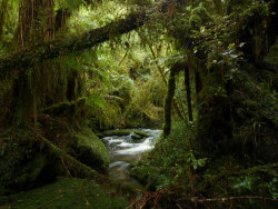 90377:  Saltwater Creek, Marsden, West Coast by New Zealand Wild