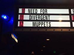 alonglineofbread:  mommunist:  need for divergent muppets   