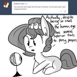 thehorsewife:  Peanut Butter Fund!   xD