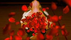 fohk:  American Beauty (1999)Sam Mendes