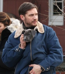 thechapterfourblog:  Tom Hardy and his pitbull puppy.