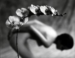 modijeanne:Curved Shapes, 2012 -   ©  Mark Arbeit