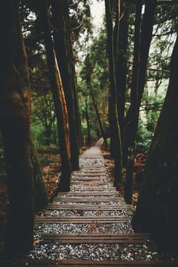lastinq:  vhord:  rowrz:  mostly photos   strictly nature  //nature//