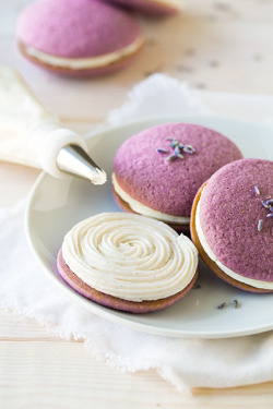 sweetoothgirl:  Lavendar Whoopie Pies w/ Vanilla Bean Frosting