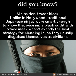 did-you-kno:  Ninjas don’t wear black. Unlike in Hollywood,