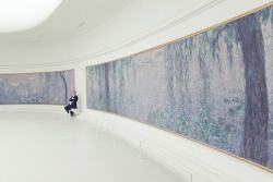  The Monet room in the Musee de L’Orangerie  