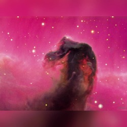 The Horsehead Nebula #nasa #apod #cfht #coelum #megacam #horseheadnebula