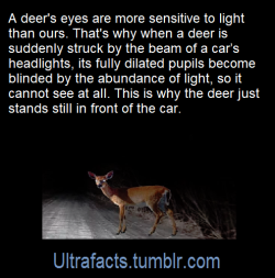 ultrafacts: Source: [x] Click HERE for more facts! 