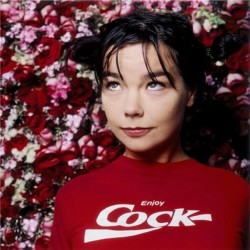 voulx:  björk photographed by dave stewart