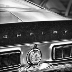 vehiculart:  Ford Mustang Shelby Cobra