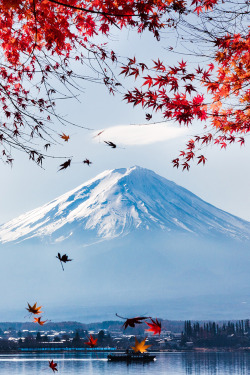 plasmatics-life:  Red Maple Fuji ~ By Andrew K.H. Fan