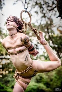 camdamage: Our hanging tree 🌿🍃  rope/photo by DWL of @cubicletocollar