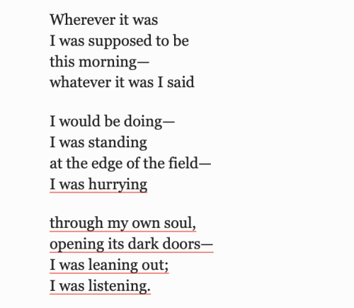 weltenwellen: Mary Oliver, from “Mockingbirds”, Devotions