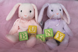 toy-wonderland:  Bunny