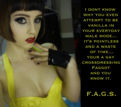 faggotryngendersissification:  I don’t know why you even attempt