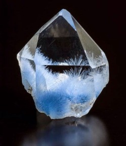 geologypage:  Quartz crystals with blue needles of Dumortierite