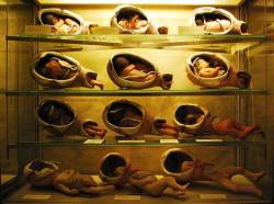 scienceyoucanlove:  Models of various birthing positions on display