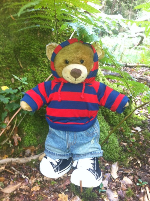 lilscruff:  babyjasonabdl:  JJ bear having a fun adventure too.   I am so jealous of your tee shirt.