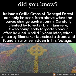 did-you-kno: Ireland’s Celtic Cross of Donegal Forest can only