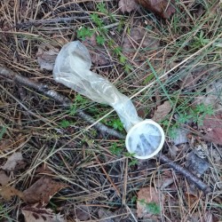 condom-hunter:  One more used condom, but cum was out of… After