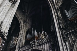 ancient-serpent:    St. Stephen’s Cathedral, Vienna // by ancient-serpent