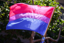 gaywrites:  Happy Bi Visibility Day/Celebrate Bisexuality Day!