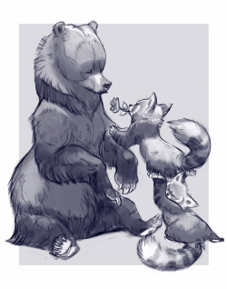 tehchanartme: Sketch of a bear and two red pandas <3 