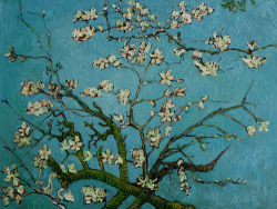 thevictoryrose:  Vincent van Gogh - Almond Blossoms, 1888-90