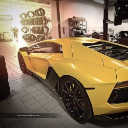 oscardriver:  This beyond #epic #shape #lambo #lamborghini #gallardo