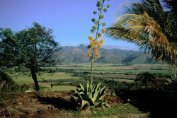 africansouljah: David Alan HarveyCUBA. Trinidad. 1998. Sugar