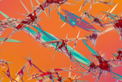photojojo:  Most crystals are dazzling enough to the naked eye,