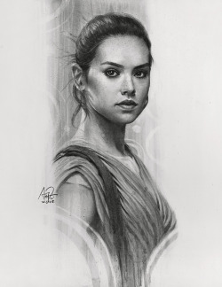 pixalry:   The Force Awakens Charcoal Portraits - Created by