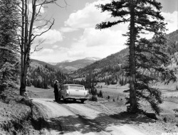 gameraboy:  Red River Pass, New Mexico, 1959 