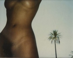 almavio:Franco Fontana • Sans titre   [Nu aux palmiers], 1991 
