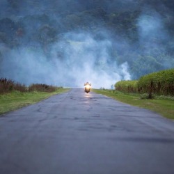 death-collective:  Through the smoke. . #deathcollective #ridebikeshavefun